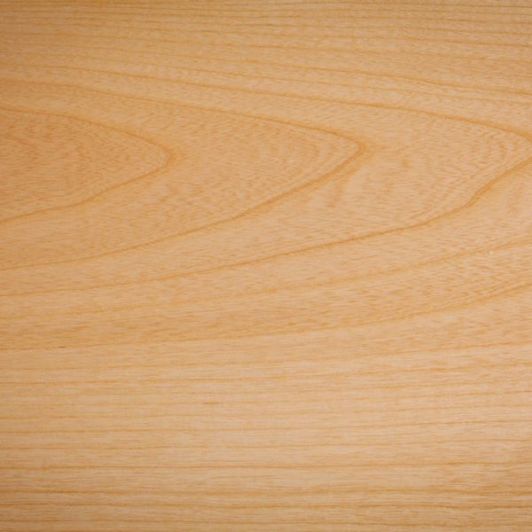 Ash sample