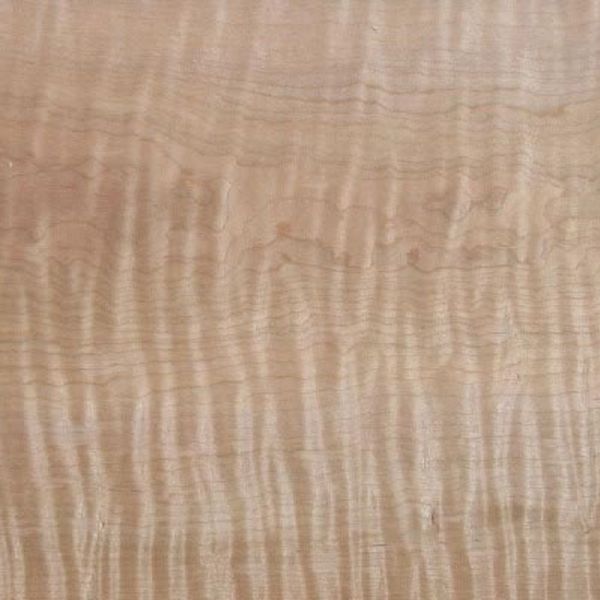 Big Leaf Maple reclaimed wood sample