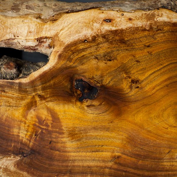 Black Acacia sample