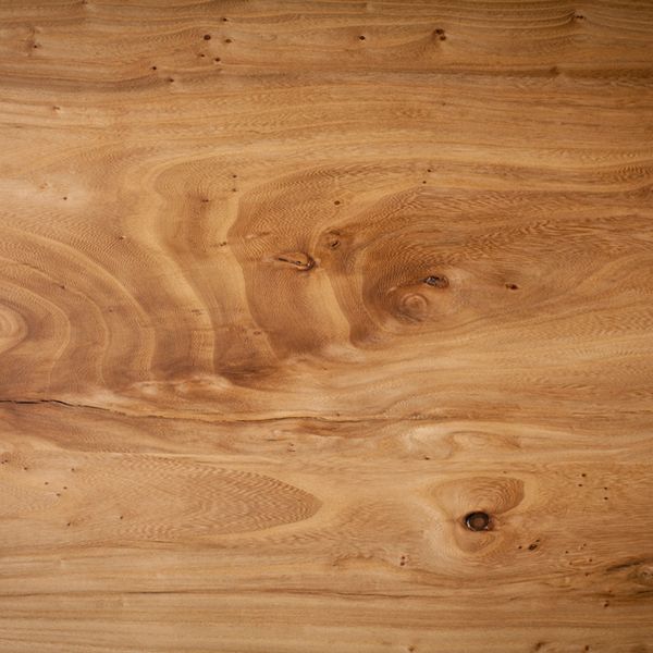 Elm sample