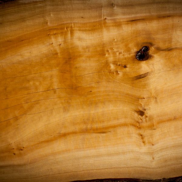Red Iron Bark Eucalyptus sample